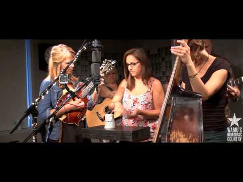 The Bankesters - Cups (When I'm Gone) [Live at WAMU's Bluegrass Country]