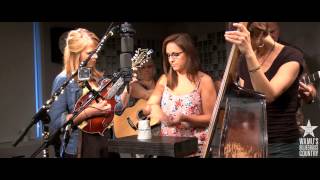 The Bankesters - Cups (When I'm Gone) [Live at WAMU's Bluegrass Country]