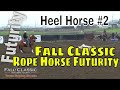 Heeler Draw 2- Fall Classic Rope Horse Futurity 2021