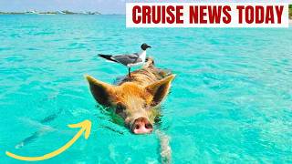 Popular Bahamas Cruise Excursion Sends Man to ICU