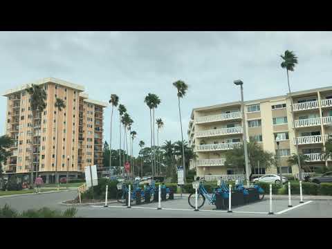 Strong Winds Palm Trees Swaying Cold Front Cloudy St. Petersburg Tampa Bay Florida April 19, 2019