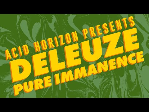 What Does Deleuze Mean By 'A Life'?