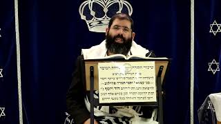 דף היומי שבועות דף ל"א ע"ב ¤ הרב נתנאל אברז'ל ¤ בית הכנסת "בית מרדכי" (מוסדות תורת דוד) - התמונה מוצגת ישירות מתוך אתר האינטרנט יוטיוב. זכויות היוצרים בתמונה שייכות ליוצרה. קישור קרדיט למקור התוכן נמצא בתוך דף הסרטון