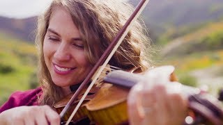 Solace - Taylor Davis (Original Song)