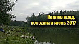 Отчет о рыбалка карпов пруд челябинск