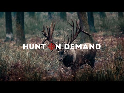 Hunt on Demand I Die besten Jagdvideos im Netz! Jetzt kostenlos testen!