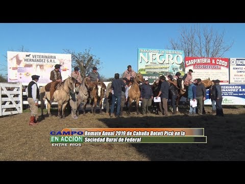 Remate Anual 2019 de Cabaña Bototi Picú -  Diego Barcia