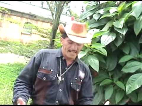 ARNULFO RIVERA  LA CUCHILLA