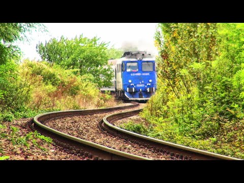 Full speed with old Sulzer Locomotive in romanian jungle-Bătrânul Sulzer  mai tânăr ca niciodată