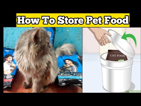 Pet Food - How to Store Dog or Keep Cat Food Fresh?