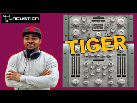 Acustica Audio  - TIGER (In The Mix On Kick, Vocal, Mix Bus)