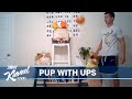 Corgi Attempts “Kobe” Trick Shot