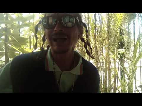 Rakunnas - Gosto de você mesmo assim.  @Rakunnas