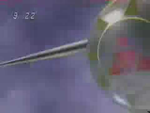 Digimon Tamers - Dukemon Appears! - Japanese, no Subtitles