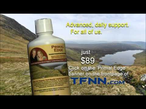 Apr 29th Tiger Technicians Hour with Basil Chapman on TFNN - 2015