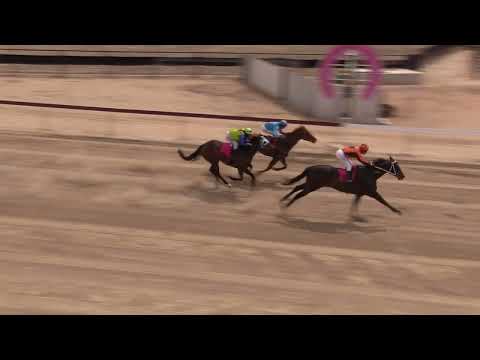 Bedourie Races