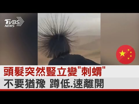 沙漠頭髮豎起