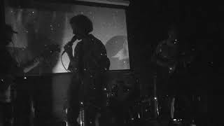 The Miami Dolphins @ Moon Palace Books 06.15.18