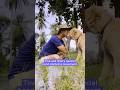 Meet The Man Who S Become The Savior Of Hungry Street Dogs