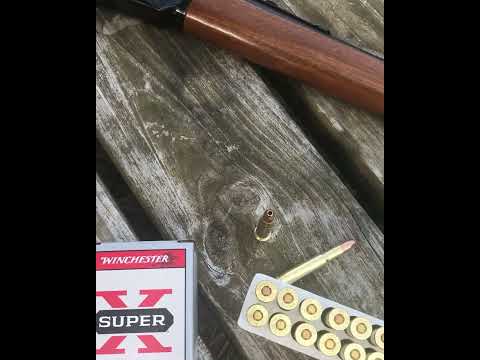 300 Winchester Magnum Winchester Power Point Ballistics Gel Ammo Test