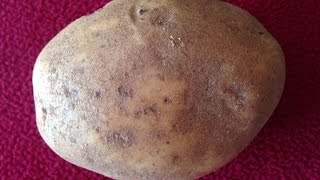 How to clean a rusty cast iron pan with a POTATO!!