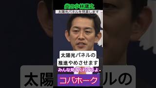 【※小林鷹之】太陽光パネルは見直します　高市政権は再エネ利権とも戦う　みんな見てるよ #自民党  #小林鷹之  #shorts  #ショート #高市早苗  #コバホーク