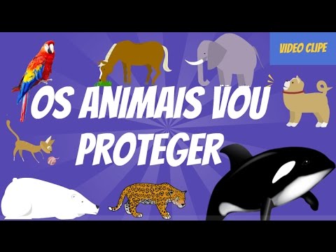 Os Animais Vou Proteger video