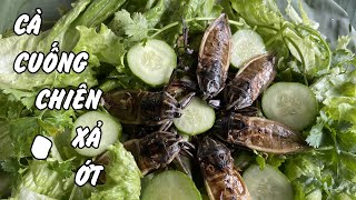 CÀ CUỐNG CHIÊN XẢ ỚT