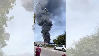 Vicenza, incendio in azienda a Malo: il video della gigantesca colonna di fumo che si alza dalla ...