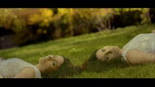 Video Clip Animales Hambrientos