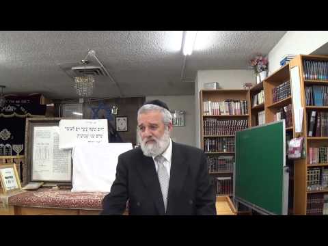 Tehilim (Psalms) Lecture 31 - Chapter 22 - Part 2