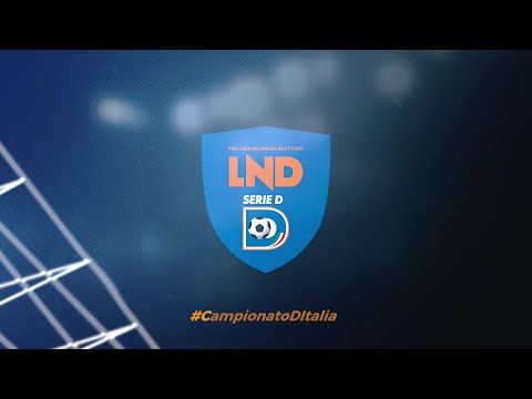 Highlights Arzignano Valchiampo - Cattolica