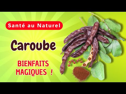 Pourquoi le CAROUBE est-il l'Aliment Miracle que Vous Négligez pour une Santé de Fer ?