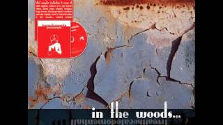 In The Woods... - 299.796 km/s [live]