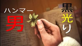#15[MHW]無双ハンマー見せてやるよ!!元、男気力アジアNo. 1チャンピオンがモンハンワールドを実況プレイしました