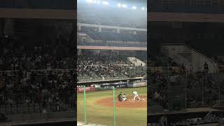 【TeamTaiwan】#氣蓋山河 #賴可 #維心 #芃芃 #希本 #冬季聯盟@斗六棒球場 20241130 #台湾チア #cheerdance #cheerleader #cpbl #啦啦隊