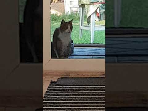 Möte Barbro / Gunnar