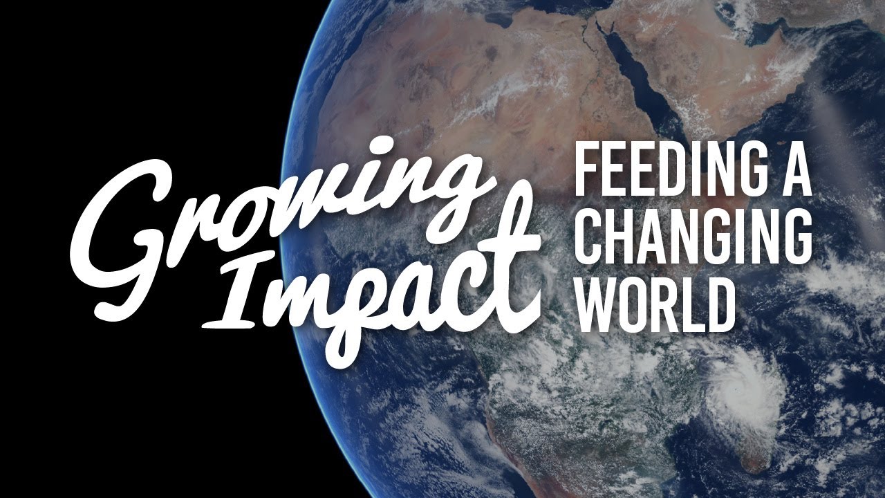 Growing Impact: Feeding a changing world