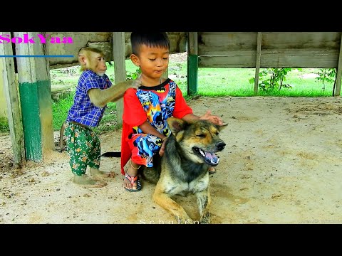 { PLEASE STOP } SokYaa Try Control Schuten Cos Vithu Do Like This, Loving Never End