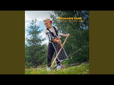 Cine lucră toată vara