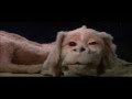 La Storia Infinita Atreyu Si Sveglia Con Falcor