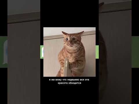 Артикул на вб: 859407604 #fyp #украшение комнаты #сакура #гирлянда