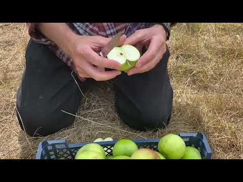 Introducing Lord Lambourne