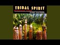 Two Spirits, Pt. 2 - Brannan Lane - Topic Two Spirits, Pt. 2