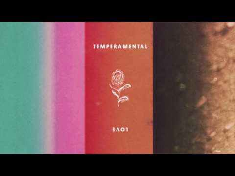 Bridgit Mendler x Devontée - Temperamental Love [Audio]