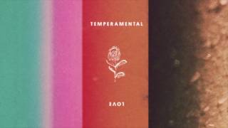 Bridgit Mendler x Devontée - Temperamental Love [Audio]