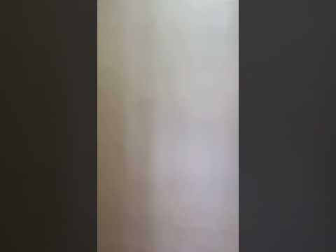 Pine Court - Video 2 of 2