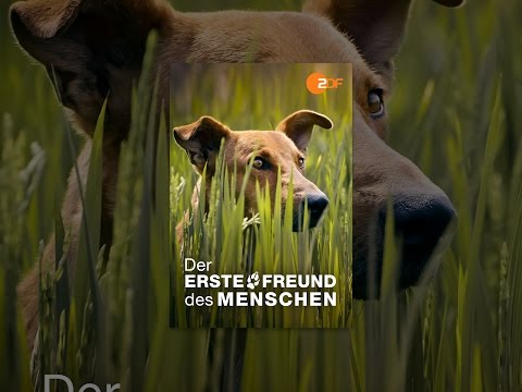 Der erste Freund des Menschen