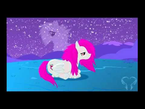 AgileDash - A Night of Observation