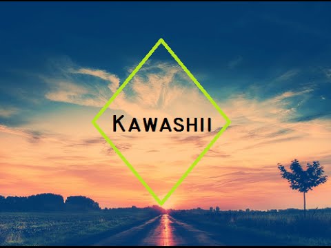 Nico & Vinz - Am I Wrong (Dj Dark & Dj Vianu Remix) [Kawashii Edit]